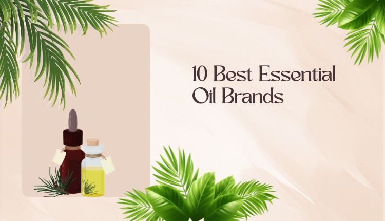 Best Essential Oil Brands banner with vibrant tropical theme