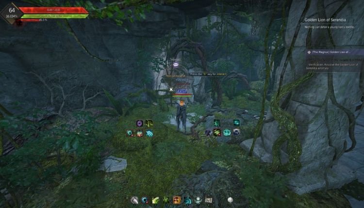 How to Start Magnus Quest in BDO - Entering the jungle portal.