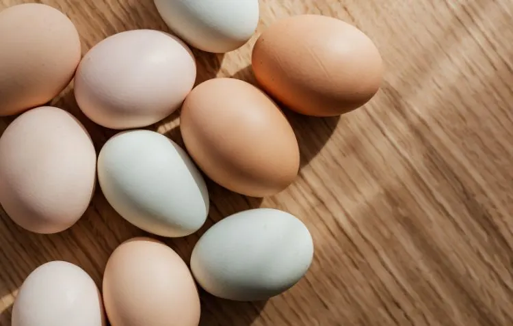 How Long Do Fresh Eggs Last with proper indoor storage