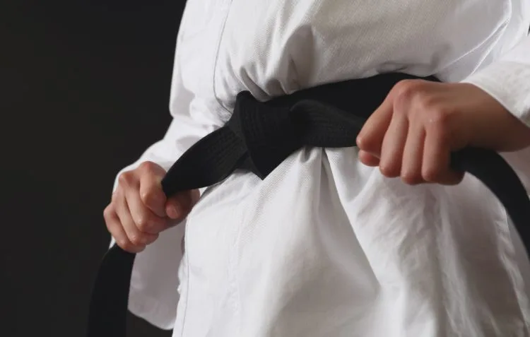 How Many Illinois Teens Are Interested in Martial Arts in 2025.