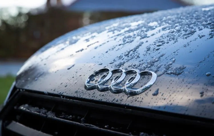 How to Get Water Spots Off Car: Audi hood with water beading.